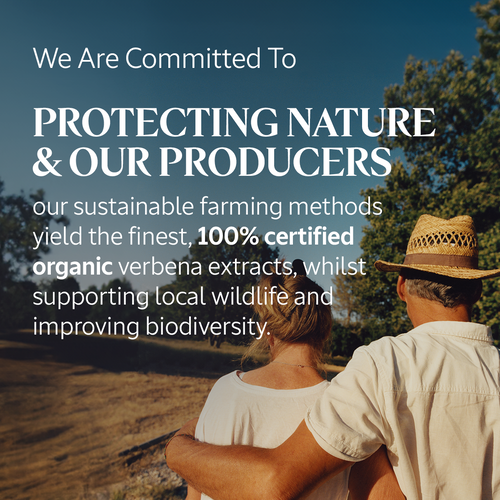 Verbena Eau de Toilette