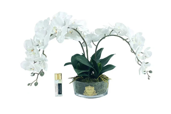 Orchid Bouquet - White &amp; Gold Badge - OOV01