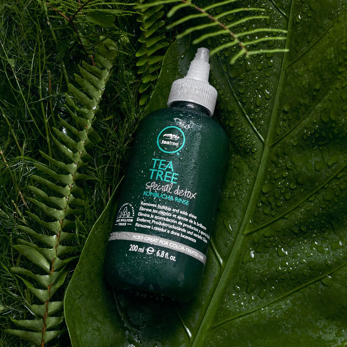 Paul Mitchell Tea Tree Special Detox Kombucha Rinse
