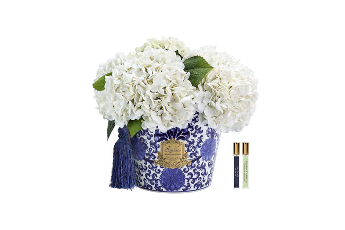 Oriental Hydrangeas - Ivory - OH01