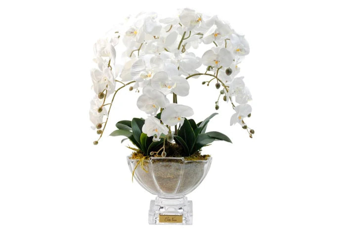 Orchid Centrepiece Bouquet - White &amp; Gold Badge - CPO01