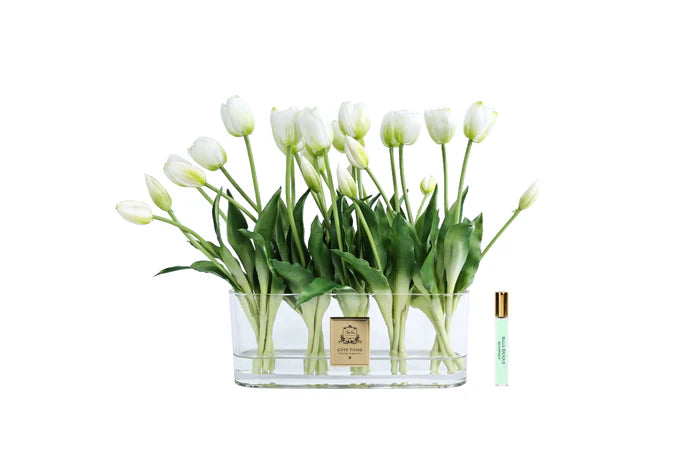 Oval Tulips - White - OT01