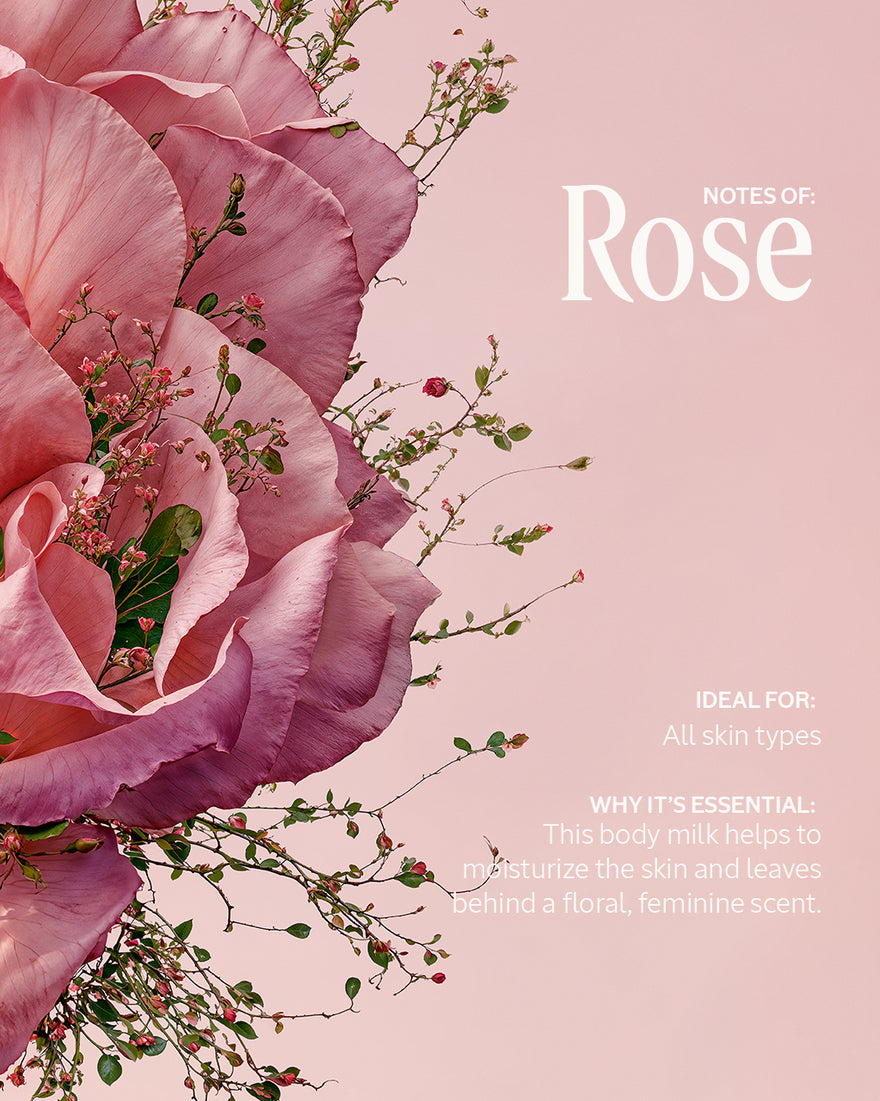 Rose Perfumed Body Lotion