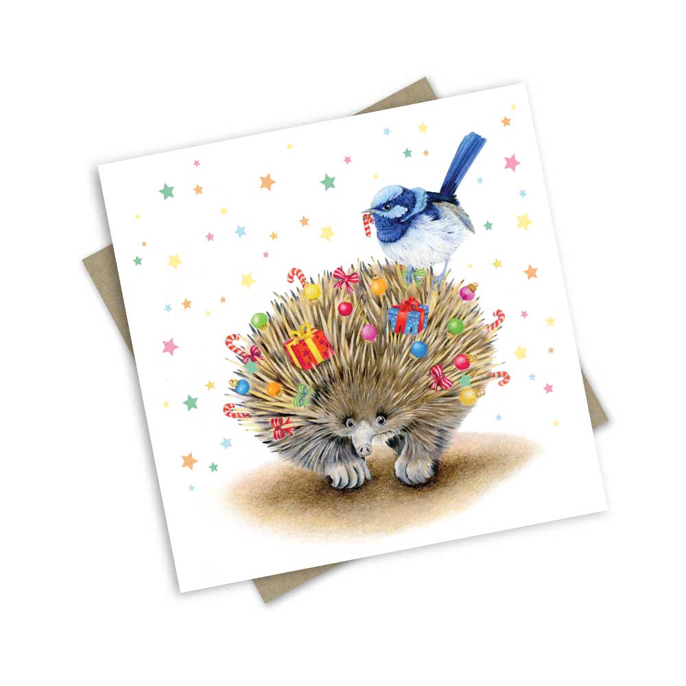 Popcorn Blue - Christmas Cards Red Box
