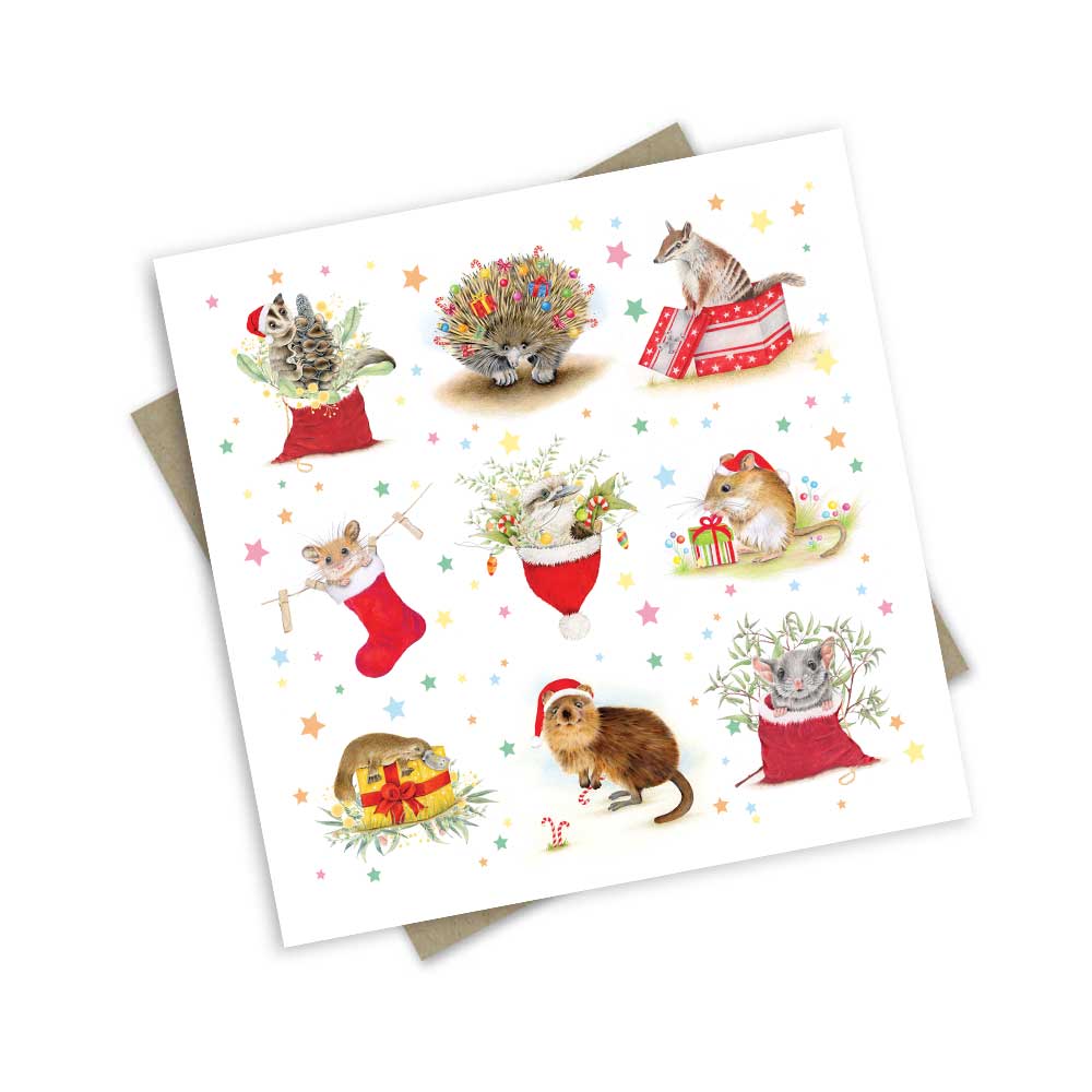 Popcorn Blue - Christmas Cards Red Box
